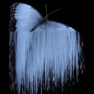 蓝色背景图大海烟花蝴蝶