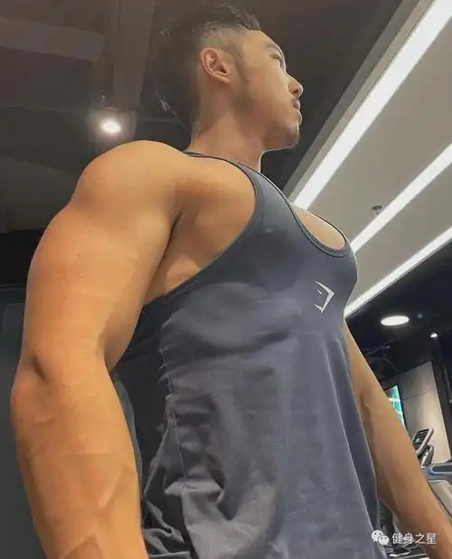 胸肌|肌肉|腹肌_网易订阅