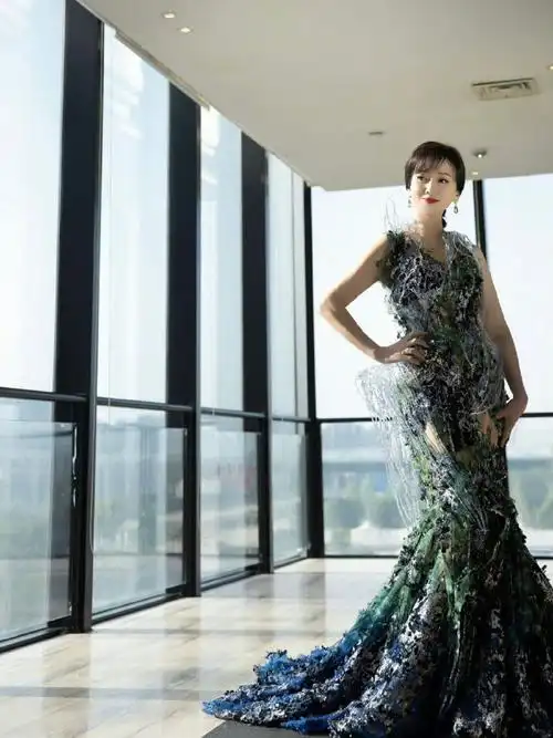 赵雅芝身穿mithridate水花钻饰重工礼服裙91亮相中国电影大数据盛典