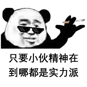 只要小伙精神在到哪都是实力派沙雕熊猫头表情图片斗图表情