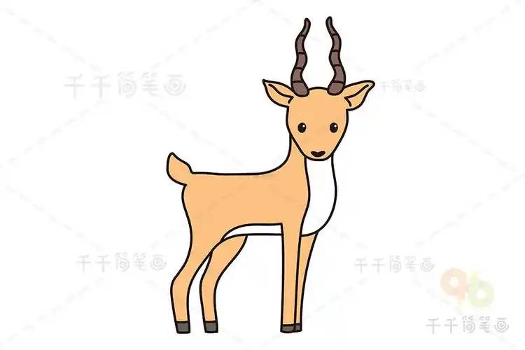 怎样画羚羊简笔画_羊简笔画