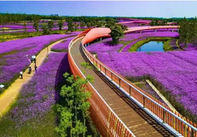 秋色尽染三台山,宿迁成为新热门,景色宜人