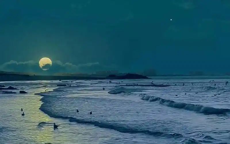 转载自互联网艾特一个愿意陪你在海边看星星的人