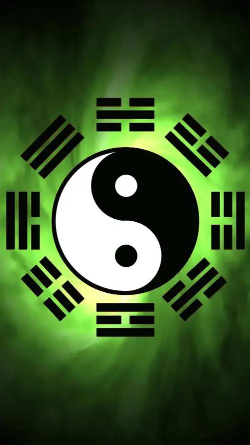 太极表演部分单人照之一(开始篇) - 美篇