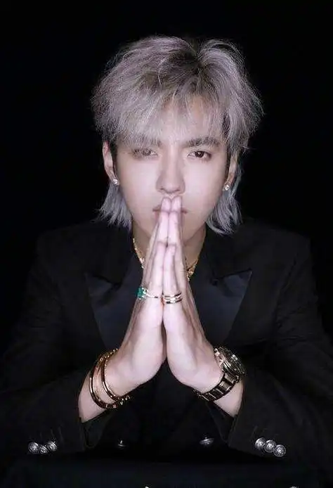 鲻鱼头发型图片 男生mullet头发型大全狼尾假发男网红同款鲻鱼头日系