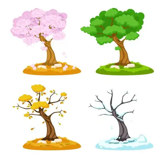 卡通树木的四季矢量素材
