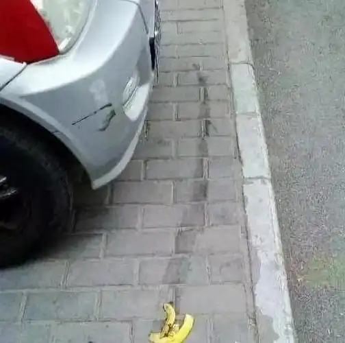 20张让人笑到cry的搞笑图片害我大半夜在被窝里笑出了猪叫声