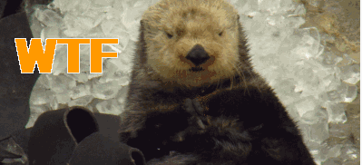 海濑wtfgif动图_动态图_表情包下载_soogif