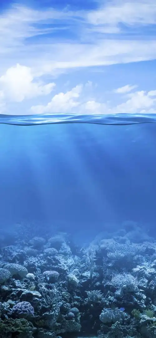 绿色背景图 养眼 微信 绿色背景图片 微信 养眼 - 网络编辑之家