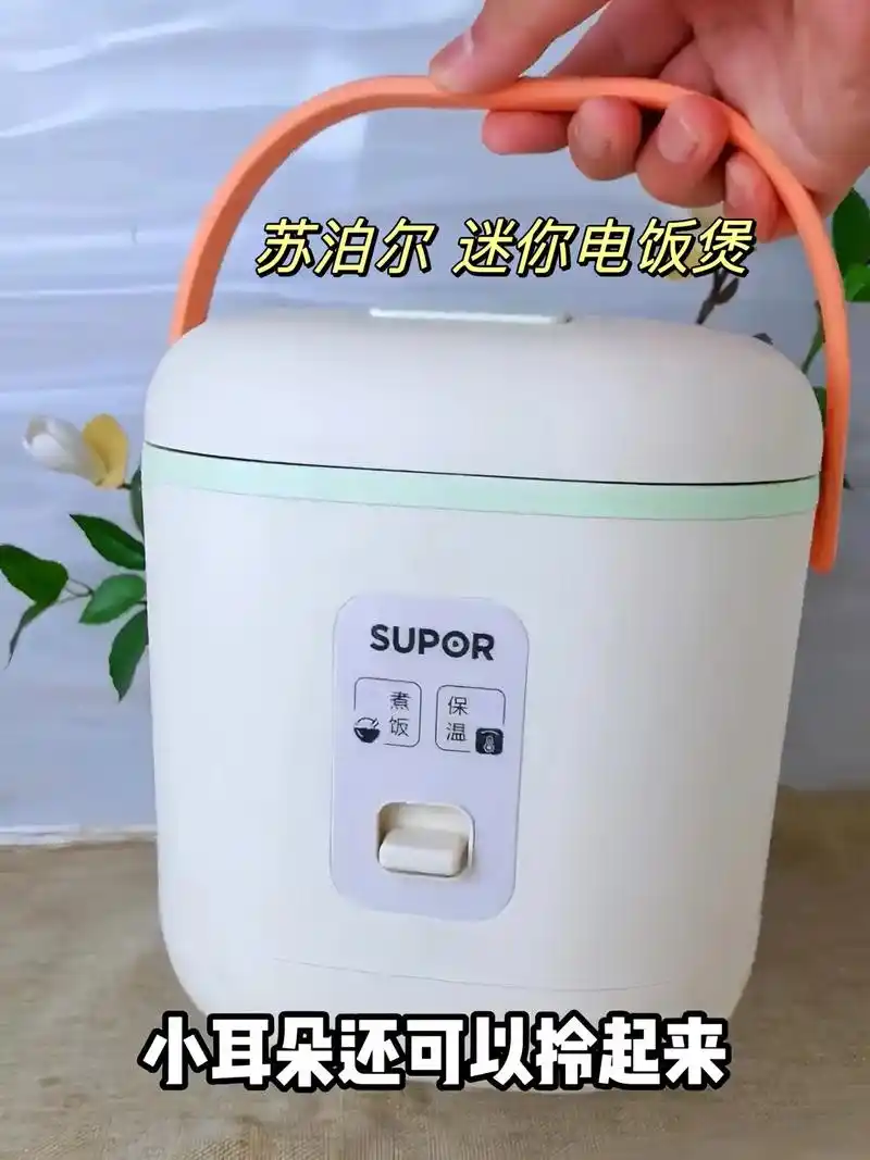 苏泊尔电饭煲1.2l家用迷你智能宿舍小型电饭锅煮饭锅多功能1 - 抖音
