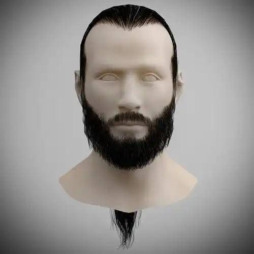 胡子胡子头发尾巴男人的3d模型