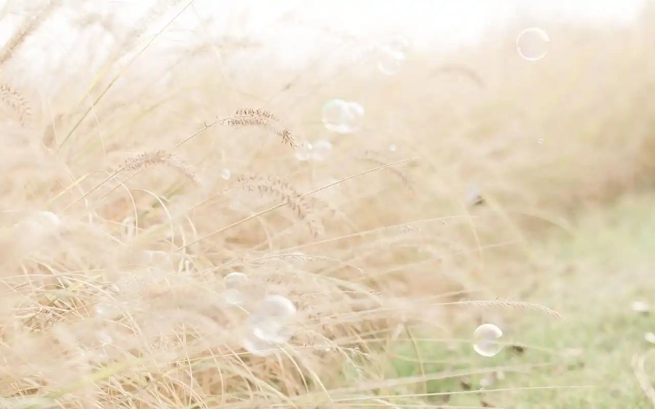 唯美意境小清新风景桌面壁纸图片