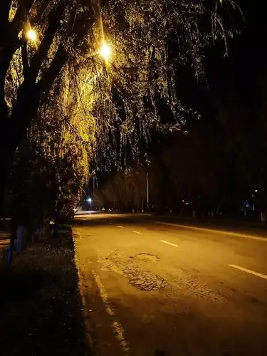 发一组伊宁市夜色图