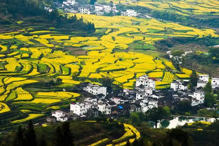 江西婺源,乡野世外桃源_梯田_乡村_文化