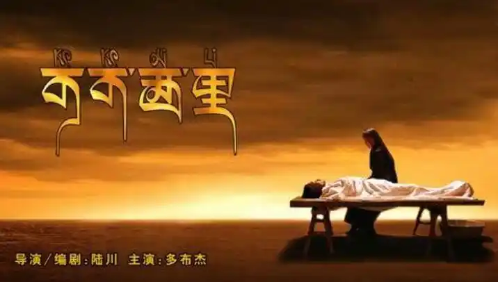 《可可西里》这部电影,讲的是有关藏羚羊的悲剧,人性的悲剧.