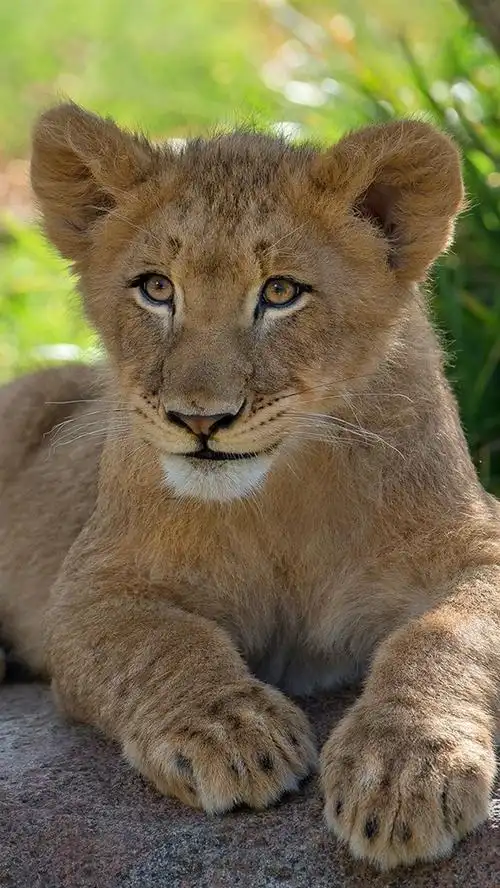 640_1136竖版 竖屏