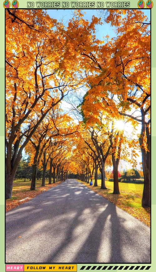 秋意盎然,探索中国多处秋景