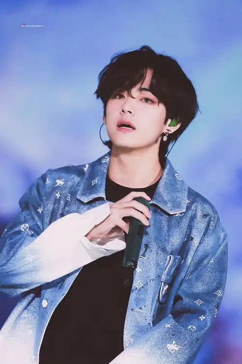 有没有v金泰亨哥的绝美图片分享