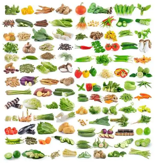 白色背景下的各种蔬菜水果