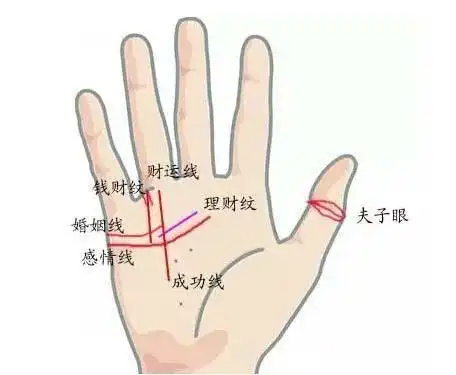 天生注定是富婆的手相纹,你有吗?