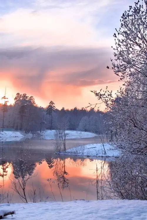 首页 自然与风景 森林和树木iphone 壁纸:640x1136 (iphone 5/5s/5c