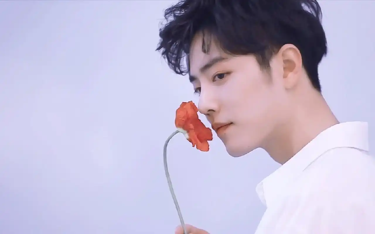 肖战三十三旁白,大陆明星-回车桌面