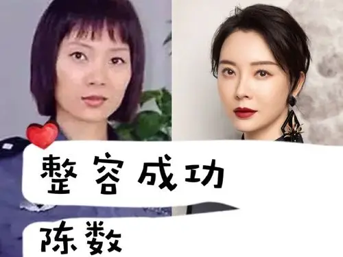 相信看过完美关系的人都对陈数不陌生吧