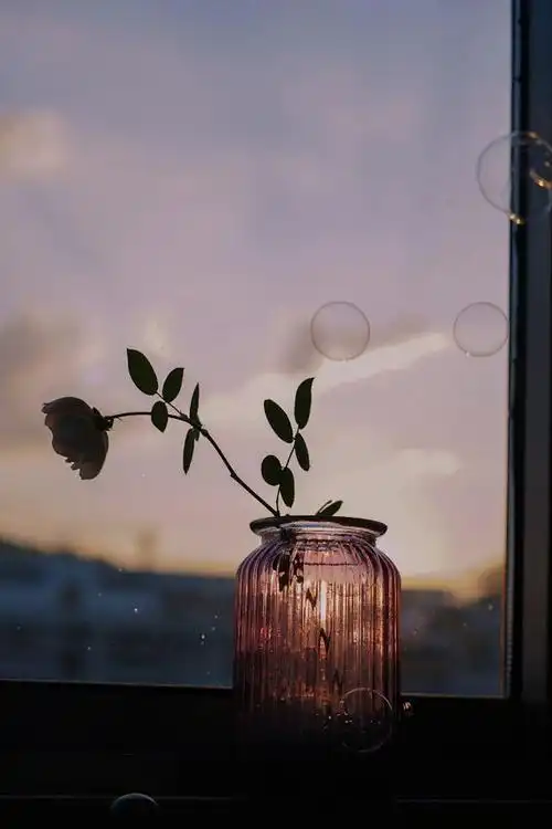 简洁又干净的朋友圈句子,句句走心,每一句都是一个道理