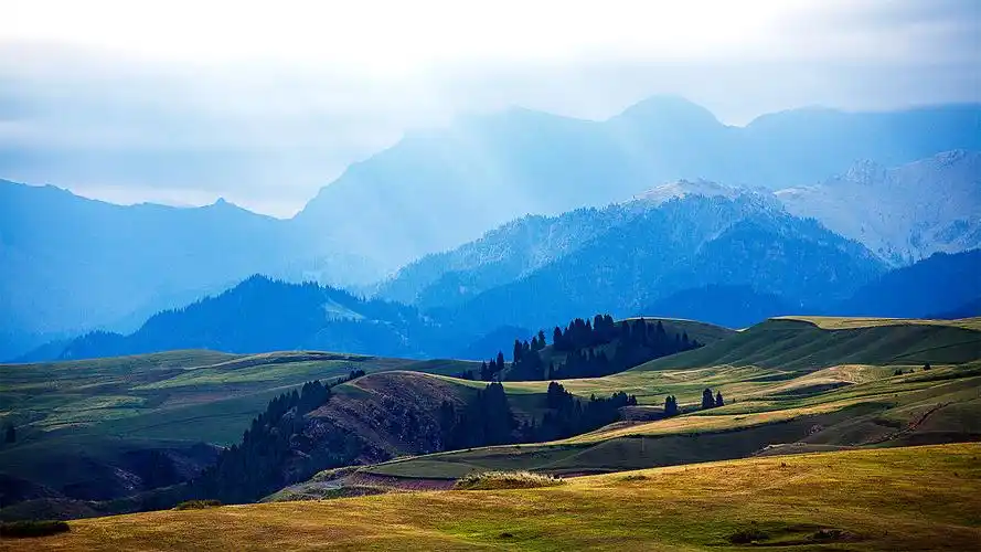 新疆江布拉克风景宽屏电脑桌面主题壁纸(二)