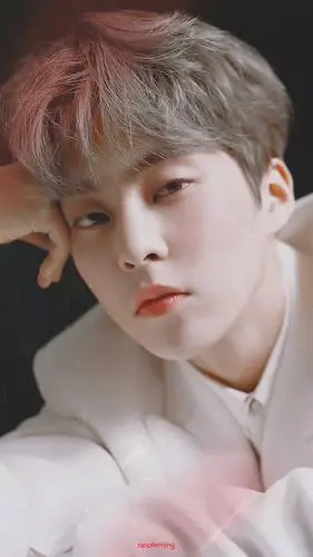 exo xiumin 金珉锡 壁纸画报