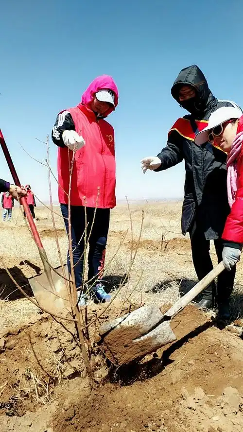 【为祖国添绿 为社会造福 】 植树造林 ,造福子孙!大型公益植树活动