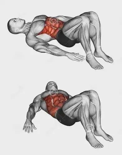 30张腹肌训练图谱告诉你腹肌各部位怎么练