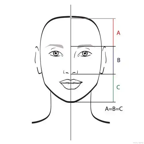 标准的三庭五眼都是哪些,你都知道吗?