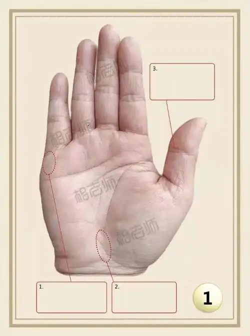 这一个手掌第一个就是我们的生命线的尾端,他有一个上斜的线,这叫关节