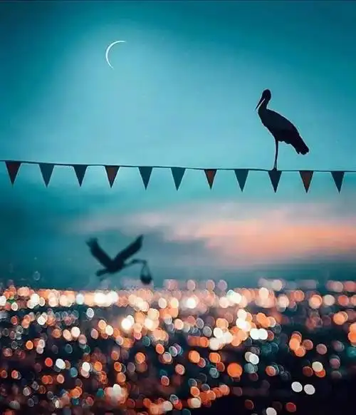 超级经典的朋友圈配图 背景图 拥有快乐 储存热爱,朋友圈配图 经典(正