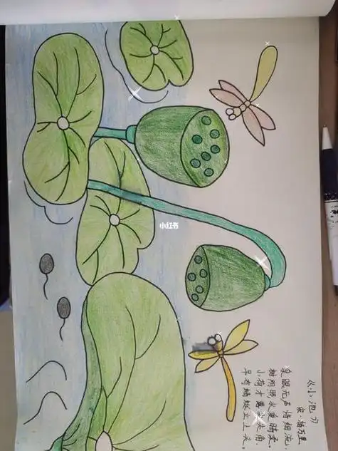 蜻蜓生活的地方简笔画