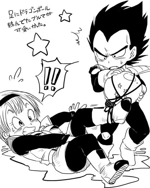 七龙珠 布玛 贝吉塔