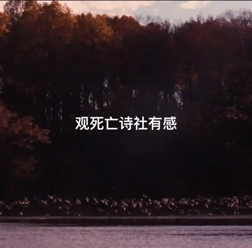 死亡诗社 我本是一个矛盾的个体. 看 - 抖音