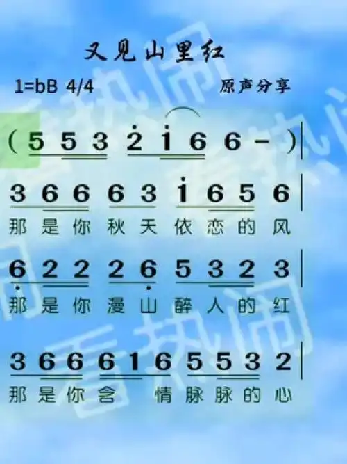 又见山里红#原声分享 #动态简谱