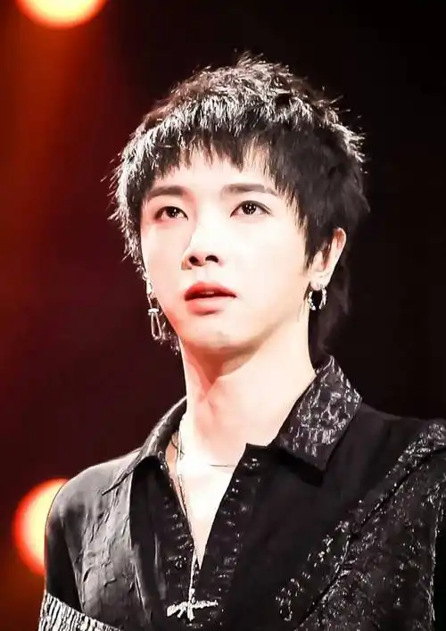 华晨宇新造型引热议:是"时尚先锋"还是"用力过猛"?