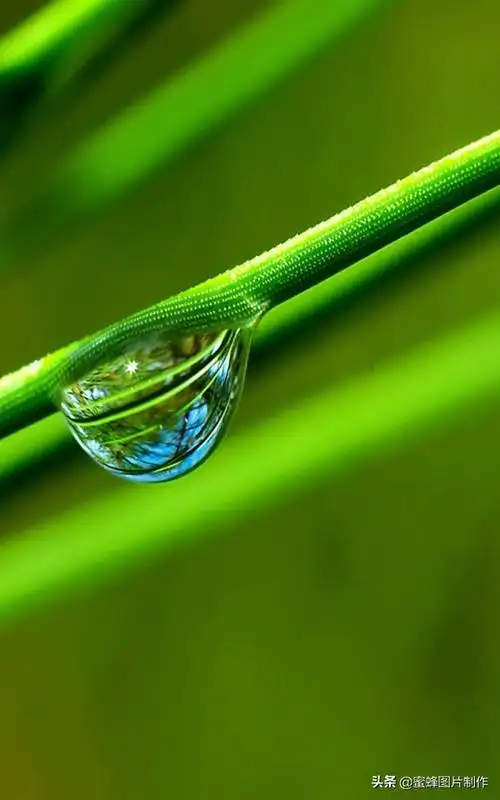 高清绿色护眼壁纸美景美图