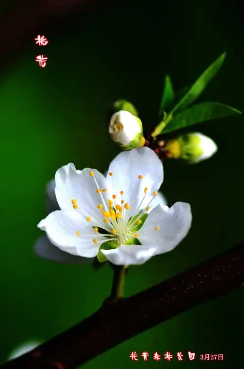 原图欣赏-太平洋摄影部落