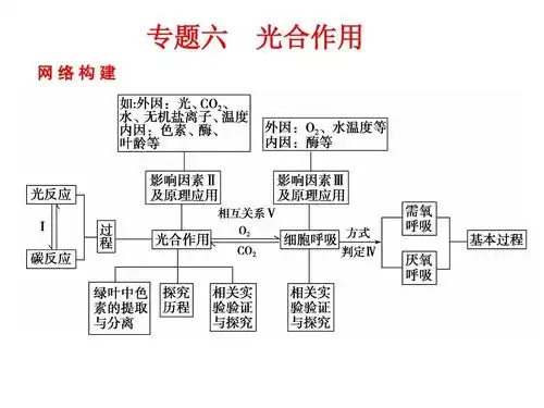 高三一轮生物 专题6 光合作用ppt