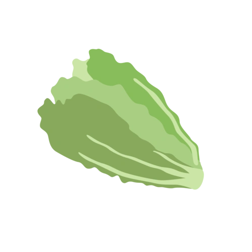 处暑夏季蔬果蔬菜大白菜图标