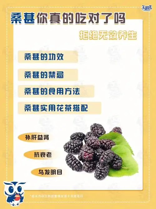 吃对桑葚能养肝补血调气色还能美容养颜