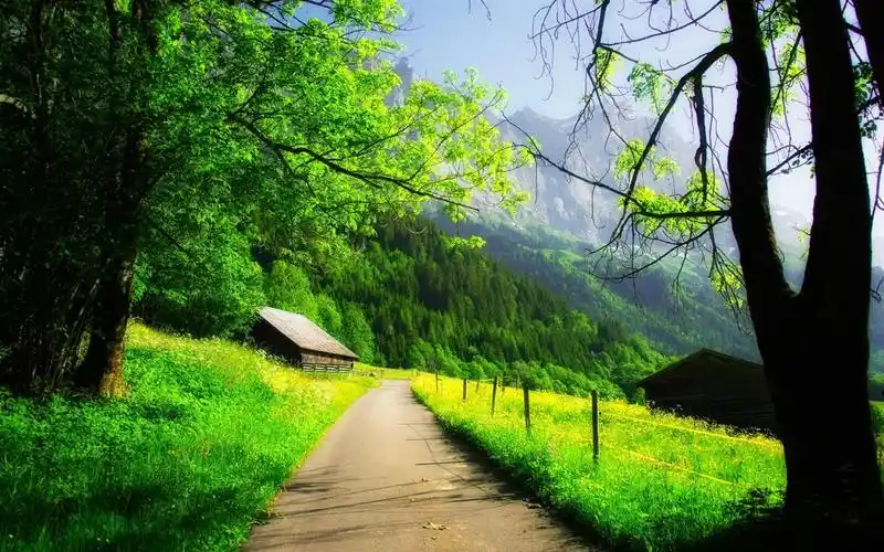 美丽的春天,山,房屋,树木,道路,绿化 壁纸 - 1280x800