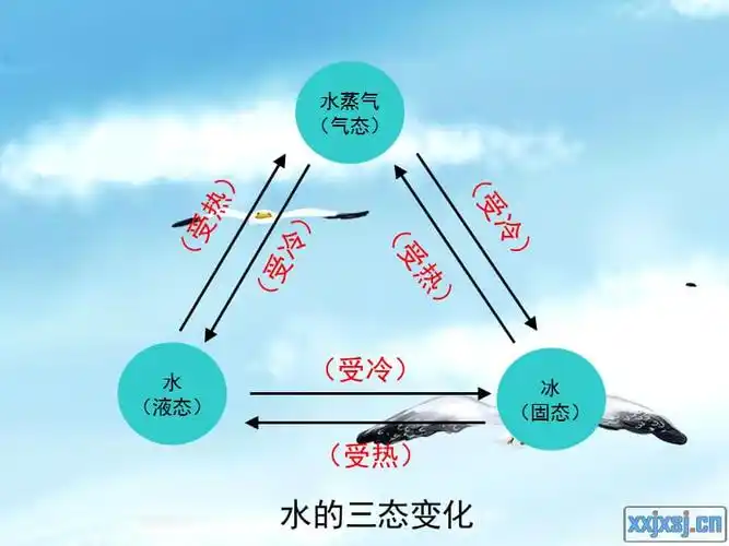 青岛版科学五上《水的三态变化》ppt课件4.ppt