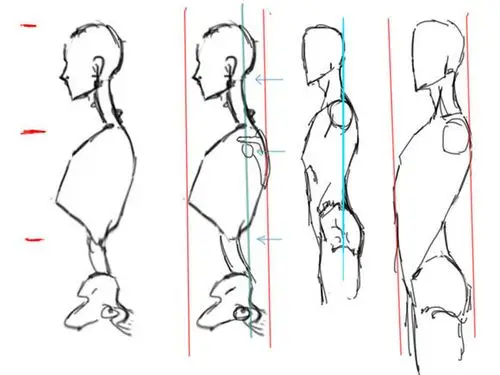 【教学】叉叔教你你画人体之 颈,肩,胸腔 x_x_漫画吧_百度贴吧