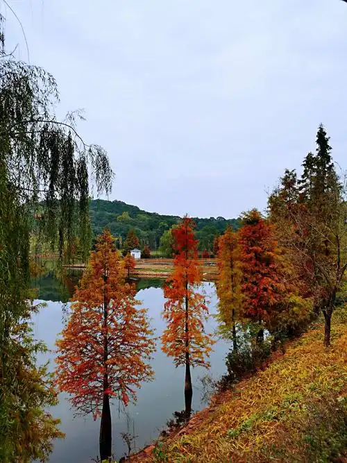 实拍,德阳东湖公园风景