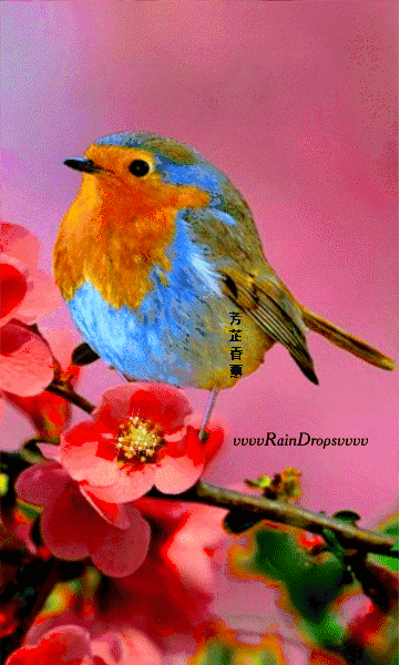 鸟语花香风景如画